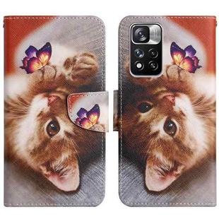 For Xiaomi Redmi Note 11 Pro 5G China Painted Pattern Flip Leather Phone Case(Butterfly Cat)