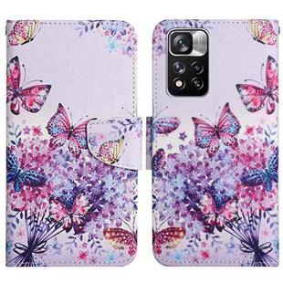 For Xiaomi Redmi Note 11 Pro 5G China Painted Pattern Flip Leather Phone Case(Bright Butterfly)