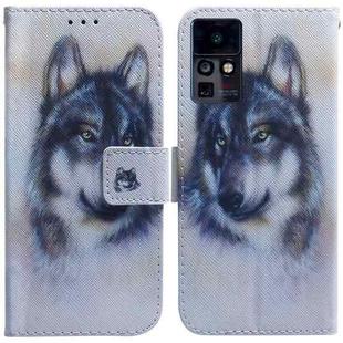 For Infinix Zero X Neo X6810 Coloured Drawing Leather Phone Case(White Wolf)
