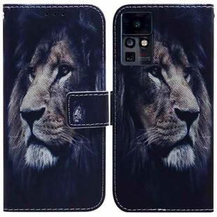 For Infinix Zero X Neo X6810 Coloured Drawing Leather Phone Case(Lion)