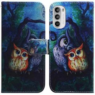 For Motorola Moto G52 Coloured Drawing Leather Phone Case(Oil Painting Owl)