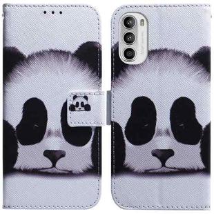 For Motorola Moto G52 Coloured Drawing Leather Phone Case(Panda)