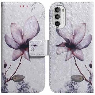 For Motorola Moto G52 Coloured Drawing Leather Phone Case(Magnolia Flower)