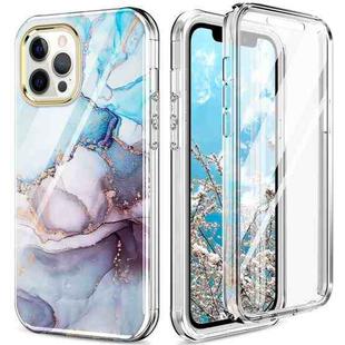For iPhone 12 / 12 Pro 360 Full Body Painted Phone Case(Marble L11)