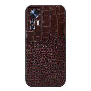 For Xiaomi 12 Lite Crocodile Top Layer Cowhide Leather Phone Case(Coffee)
