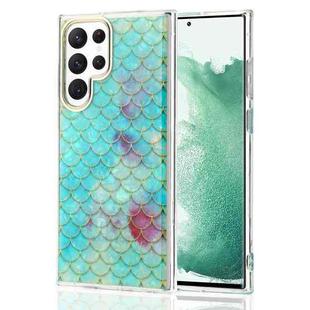 For Samsung Galaxy S21 Ultra 5G Colorful Shell Texture TPU Phone Case(Y6)