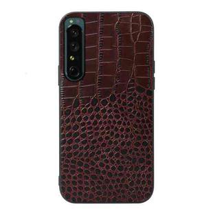 For Sony Xperia 1 IV Crocodile Texture Genuine Leather Phone Case(Coffee)