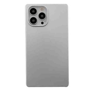 Square Matte Silver TPU Phone Case For iPhone 12 / 12 Pro