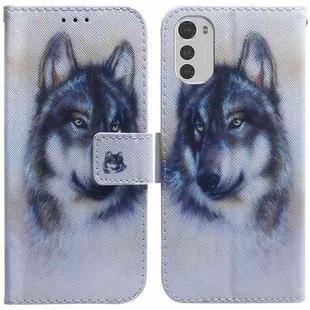 For Motorola Moto E32 Coloured Drawing Leather Phone Case(White Wolf)
