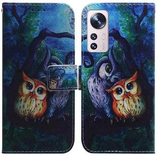 For Xiaomi 12 Lite Coloured Drawing Leather Phone Case(Oil Painting Owl)