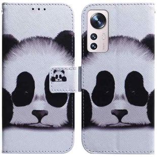 For Xiaomi 12 Lite Coloured Drawing Leather Phone Case(Panda)