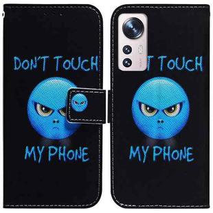 For Xiaomi 12 Lite Coloured Drawing Leather Phone Case(Anger)