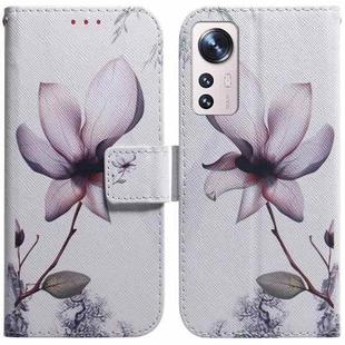For Xiaomi 12 Lite Coloured Drawing Leather Phone Case(Magnolia Flower)
