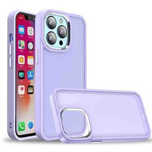 For iPhone 13 Pro Charm Pupil Frosted Skin Feel Phone Case (Purple)