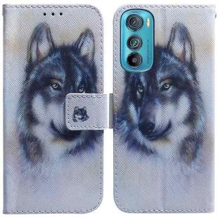 For Motorola Edge 30 Coloured Drawing Leather Phone Case(White Wolf)