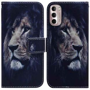 For Motorola Moto G Stylus 4G 2022 Coloured Drawing Leather Phone Case(Lion)