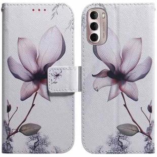 For Motorola Moto G Stylus 4G 2022 Coloured Drawing Leather Phone Case(Magnolia Flower)