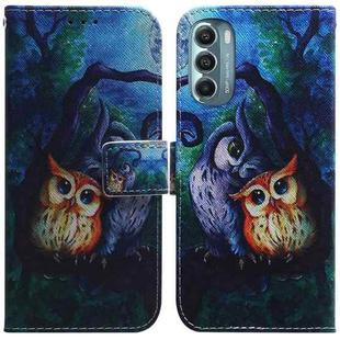 For Motorola Moto G Stylus 5G 2022 Coloured Drawing Leather Phone Case(Oil Painting Owl)