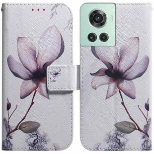 For OnePlus 10R / Ace Coloured Drawing Leather Phone Case(Magnolia Flower)