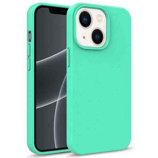 For iPhone 14 Starry Series Shockproof Straw Material + TPU Protective Phone Case (Green)