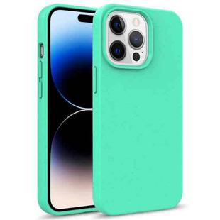 For iPhone 14 Pro Max Starry Series Shockproof Straw Material + TPU Protective Phone Case (Green)
