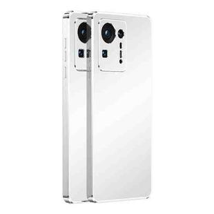 For Xiaomi Mi Mix 4 Ultra Thin Electroplated Frosted TPU Phone Case(White)