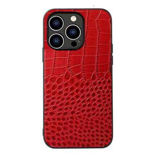 For iPhone 14 Pro Crocodile Top Layer Cowhide Leather Case (Red)