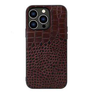 For iPhone 14 Pro Crocodile Top Layer Cowhide Leather Case (Coffee)