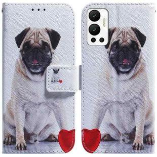 For Infinix Hot 12 Coloured Drawing Leather Phone Case(Pug)