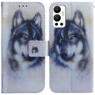 For Infinix Hot 12 Coloured Drawing Leather Phone Case(White Wolf)