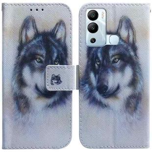 For Infinix Hot 12i Coloured Drawing Leather Phone Case(White Wolf)