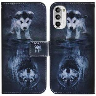 For Motorola Moto G52J Japan Version Coloured Drawing Leather Phone Case(Wolf and Dog)