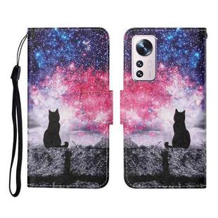 For Xiaomi 12 Lite Colored Drawing Pattern Flip Leather Phone Case(Star Sky Cat)