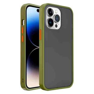 For iPhone 14 Pro Max Translucent Skin Feel Frosted Phone Case (Green)