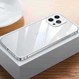 For iPhone 14 Pro Metal Frame HD Transparent Phone Case(Silver)