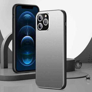 All-Inclusive Lens Frosted Metal Phone Case For iPhone 12 Pro(Silver Grey)