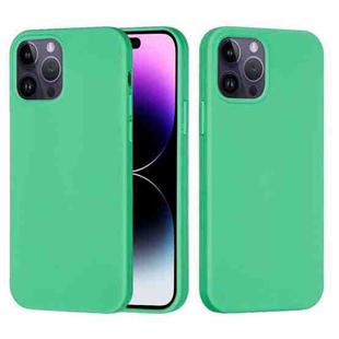 For iPhone 14 Pro Max Solid Color Silicone Phone Case (Green)