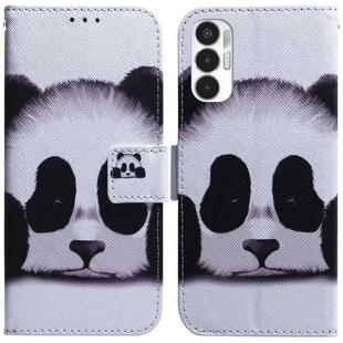 For Tecno Pova 3 LE7 Coloured Drawing Leather Phone Case(Panda)