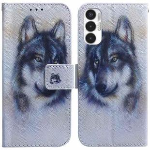 For Tecno Pova 3 LE7 Coloured Drawing Leather Phone Case(White Wolf)