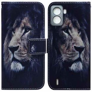 For Tecno Pop 6 No Fingerprints Coloured Drawing Leather Phone Case(Lion)