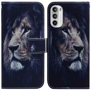 For Motorola Moto G62 5G Coloured Drawing Leather Phone Case(Lion)