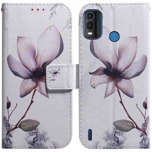 For Nokia G11 Plus Coloured Drawing Leather Phone Case(Magnolia Flower)