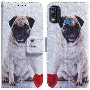 For Nokia G11 Plus Coloured Drawing Leather Phone Case(Pug)
