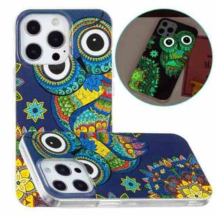 For iPhone 14 Pro Max Luminous TPU Soft Phone Case (Blue Owl)