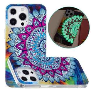 For iPhone 14 Pro Max Luminous TPU Soft Phone Case (Half Flower)