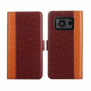 For Sharp Aquos R6 Ostrich Texture Flip Leather Phone Case(Brown)