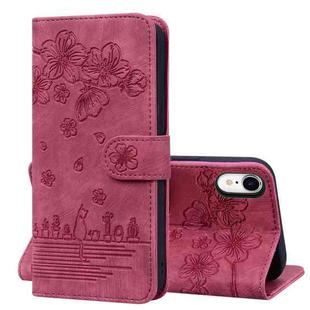 For iPhone XR Cartoon Sakura Cat Embossed Leather Case(Wine Red)