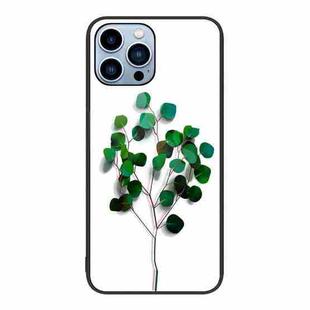For iPhone 14 Pro Max Colorful Painted Glass Phone Case (Sapling)