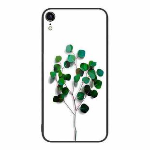 For iPhone XR Colorful Painted Glass Phone Case(Sapling)