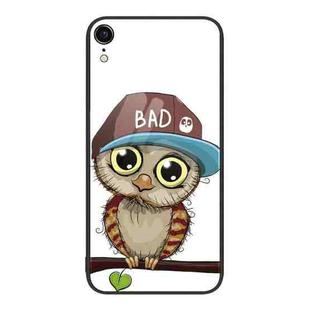 For iPhone XR Colorful Painted Glass Phone Case(Owl)